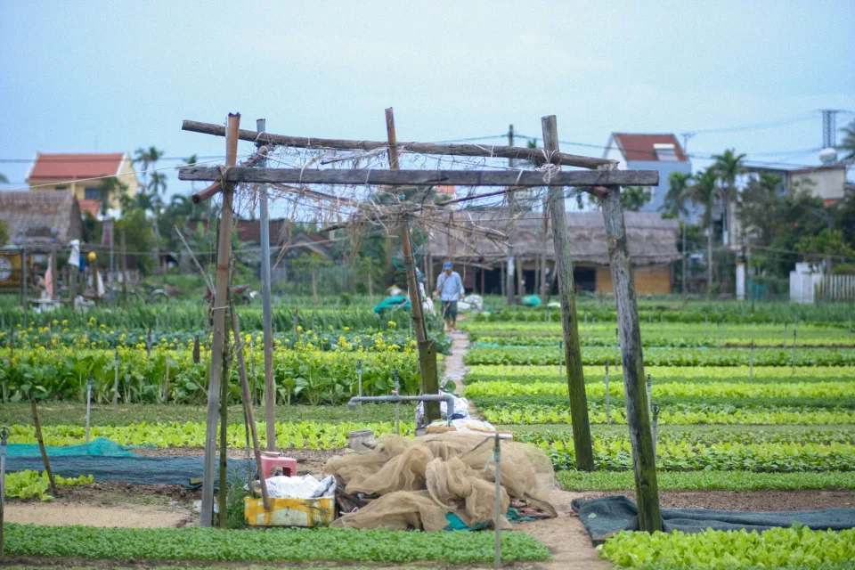 Kho chứa phân bón
